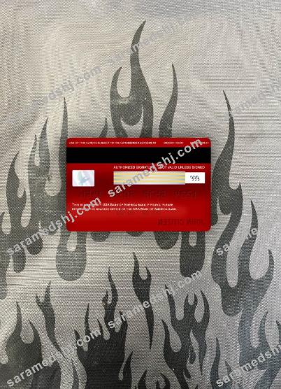 USA Bank of America bank visa classic card photolook back
